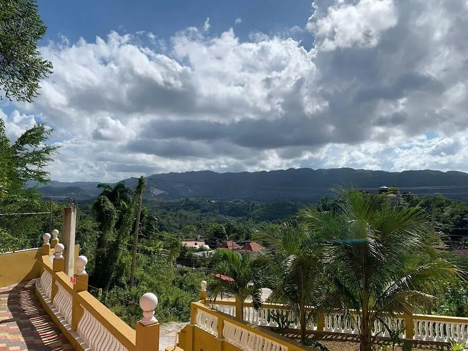 Villa Hill Top View à Montego Bay